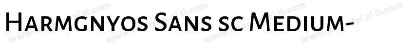 Harmgnyos Sans sc Medium字体转换
